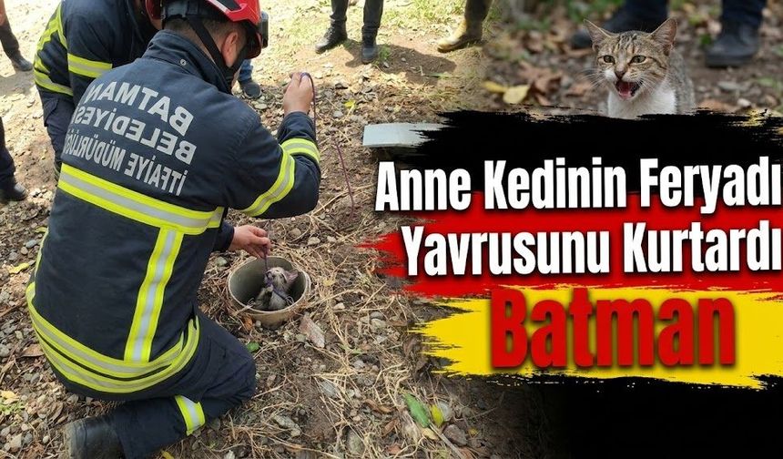 Anne Kedinin Feryadı Yavrusunu Kurtardı