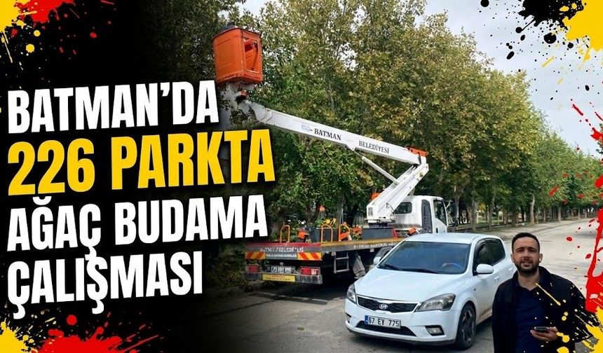 Batman’da 226 Parkta Ağaç Budama Çalışması