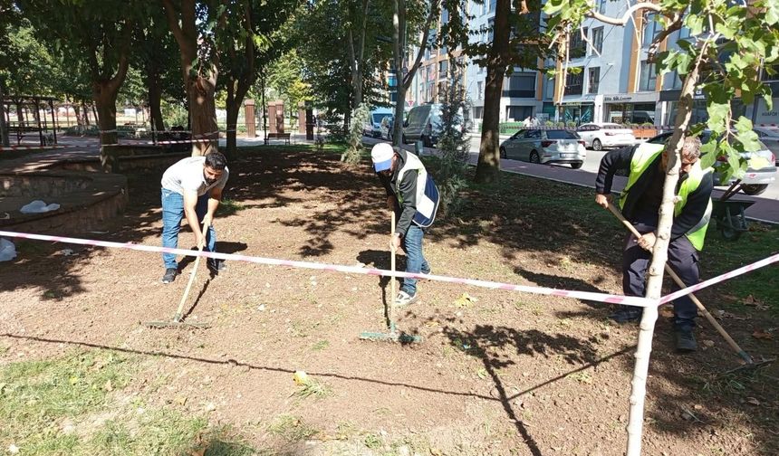 Batman’da Güz Mevsimine Özel Bakım Çalışması