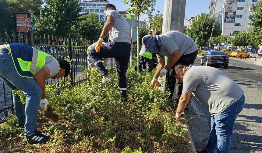Batman’da Kent Estetiği İçin Yeşil Alanlarda Bakım Çalışması