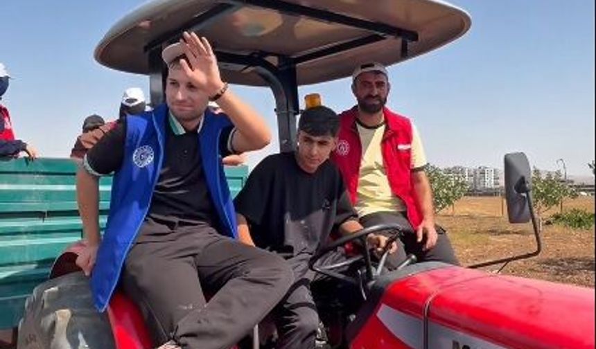 Binatlı’da fıstık hasadına gönüllü destek