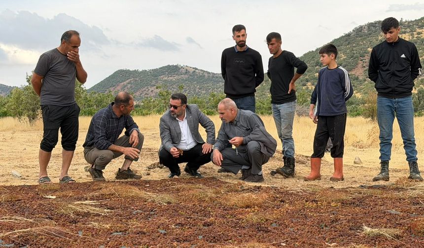 Gercüş’te Yağış Mağduriyeti: Kuru Üzüm Üreticileri Destek Bekliyor