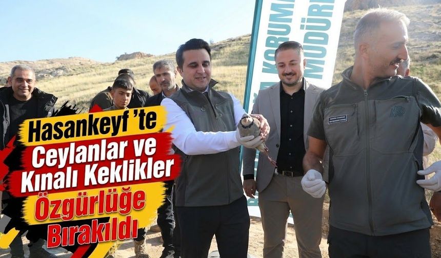 Hasankeyf’te Ceylanlar ve Kınalı Keklikler Özgürlüğe Bırakıldı