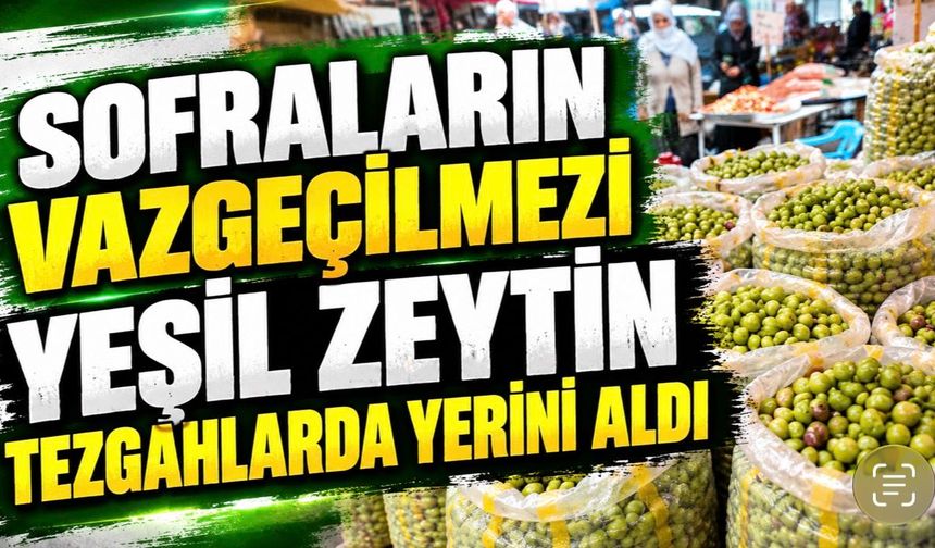 Sofraların Vazgeçilmezi Yeşil Zeytin Tezgâhlarda Yerini Aldı