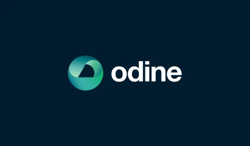 Odine Hisse Neden Çöktü? Yatırımcıları Ağır Zarara Uğratan Soruşturmanın Detayları Ne? Şirket Yöneticileri Neden Tutuklandı?