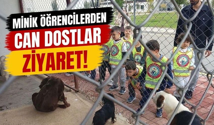 Minik Öğrencilerden Can Dostlara Ziyaret