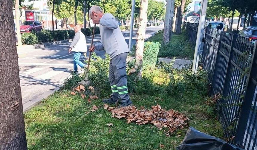 Tertemiz Bir Batman İçin Seferber Oldular