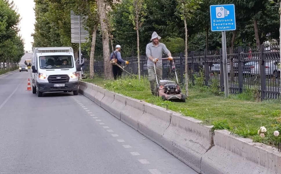 Bulvarda Yabani Ot Temizliği