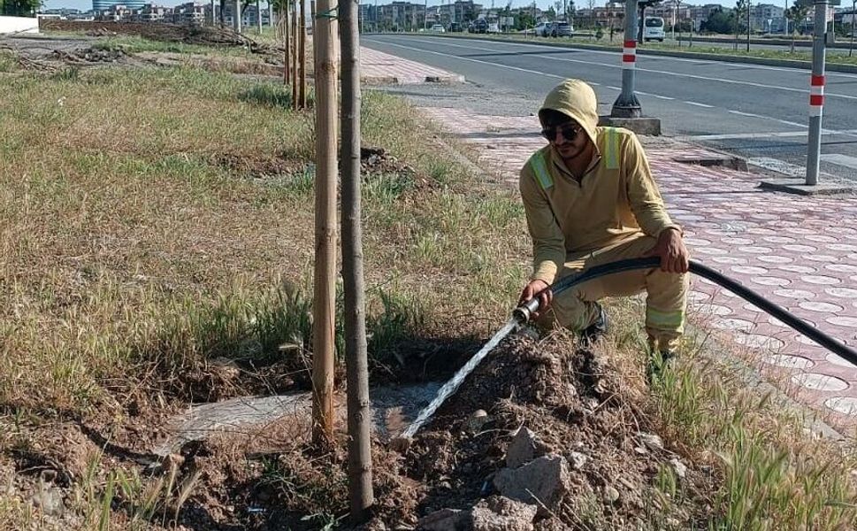 Yeşil Kuşak’ta Sonbahar Bakımı Başladı