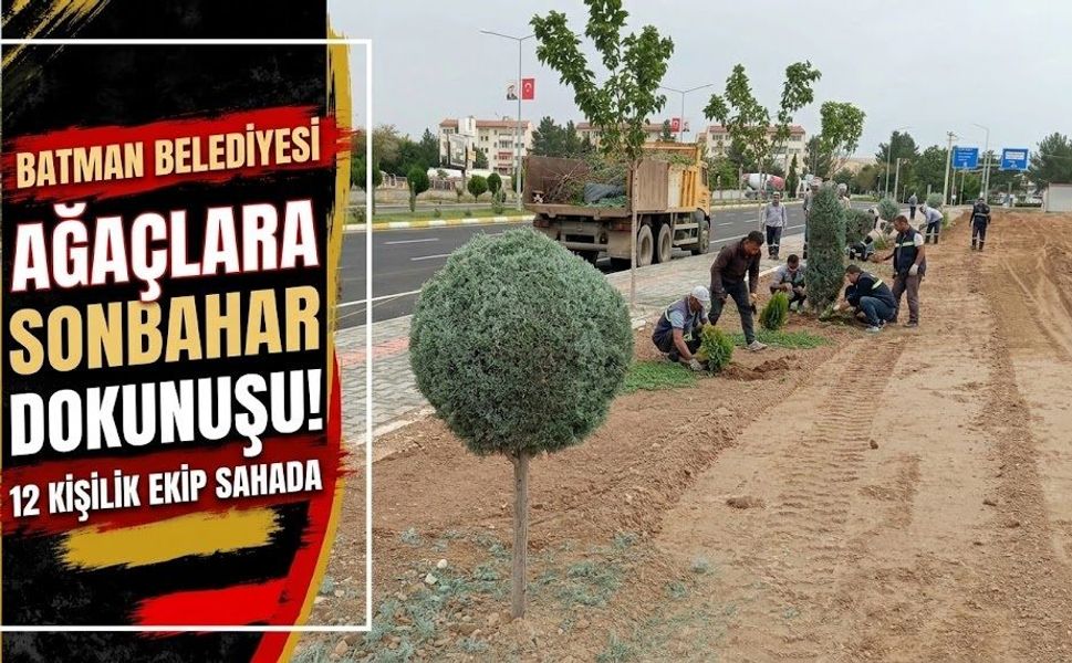 Ağaçlara Sonbahar Dokunuşu! 12 Kişilik Ekip Sahada