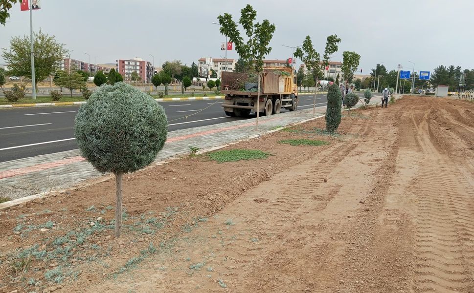 Ağaçlara Sonbahar Dokunuşu! 12 Kişilik Ekip Sahada
