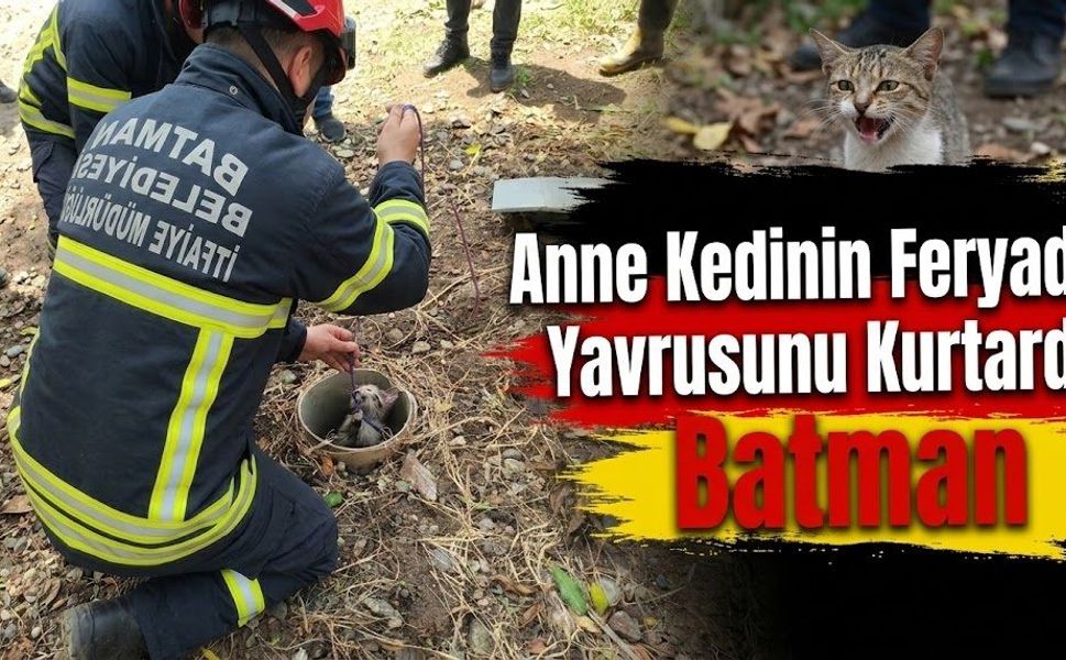 Anne Kedinin Feryadı Yavrusunu Kurtardı