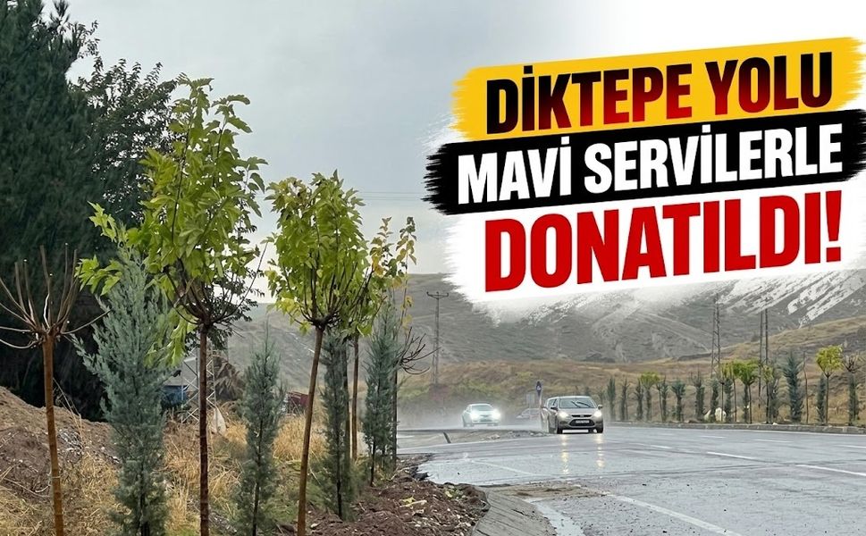 DİKTEPE YOLU MAVİ SERVİLERLE DONATILDI