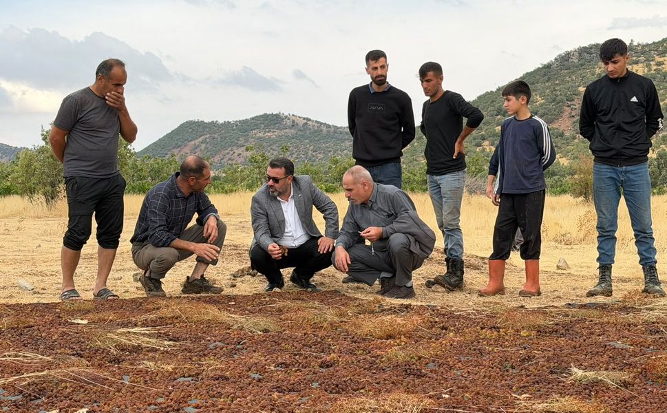 Gercüş’te Yağış Mağduriyeti: Kuru Üzüm Üreticileri Destek Bekliyor