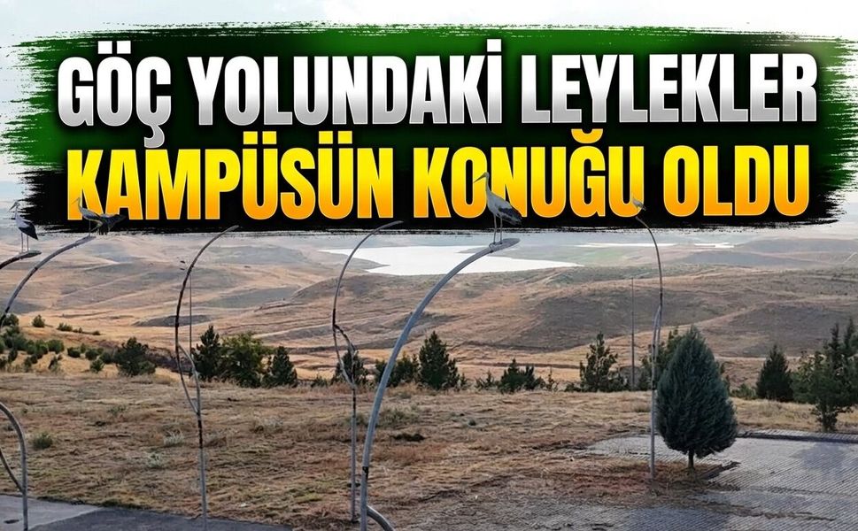 Göç yolundaki leylekler kampüsün konuğu oldu