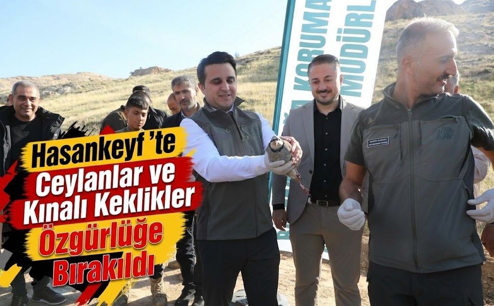 Hasankeyf’te Ceylanlar ve Kınalı Keklikler Özgürlüğe Bırakıldı