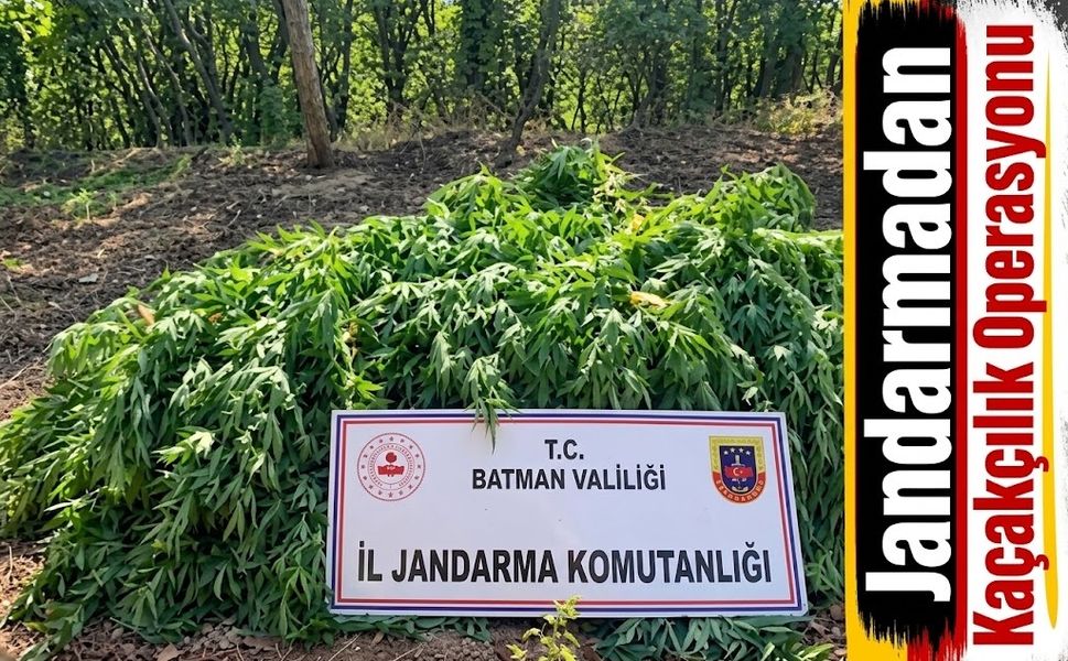 Jandarmadan Kaçakçılık Operasyonu