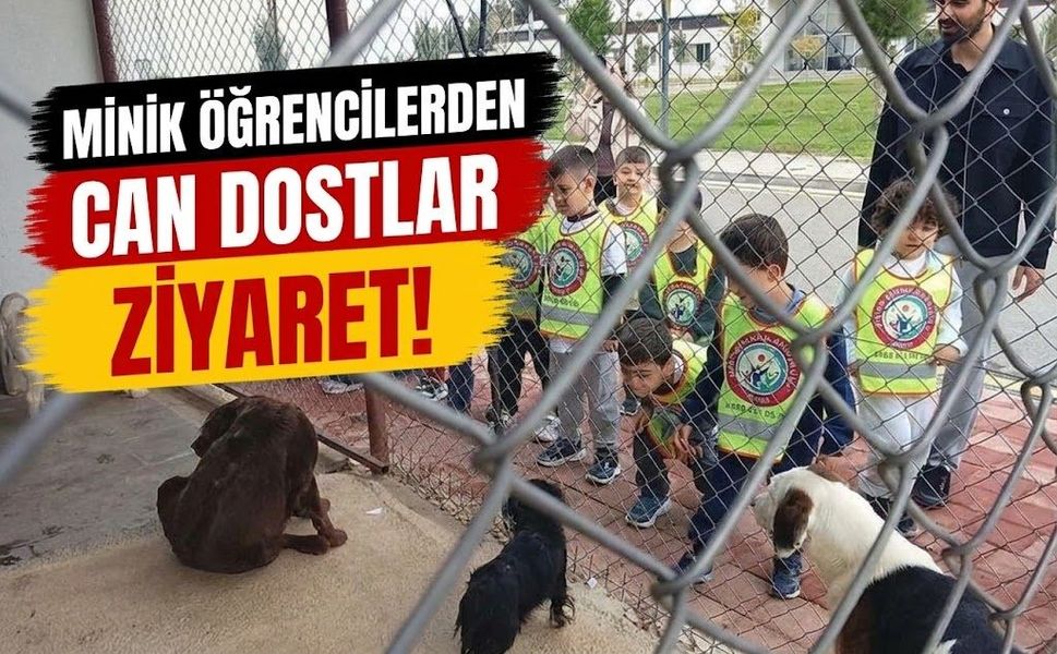 Minik Öğrencilerden Can Dostlara Ziyaret