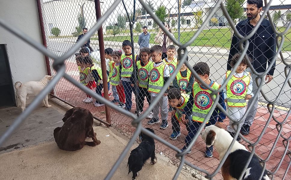 Minik Öğrencilerden Can Dostlara Ziyaret