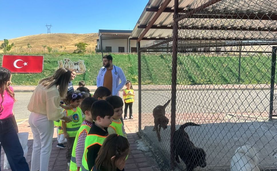 Minik Öğrencilerden Hayvan Dostlarına Sevgi Ziyareti
